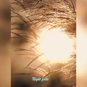 Mặt Nạ Bùn Matcha Laikou Trà Xanh 85g Giảm Nhờn Sạch Sâu Mặt Nạ Dưỡng Ẩm Làm Dịu Sáng Da Se Khít Lỗ Chân Lông Mịn Màng