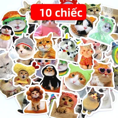 Bộ Sticker Hình Mèo Hài Hước Nhiều Mẫu 10/50/100 Cái Sticker Động Vật Dễ Thương Để Trang Trí Sổ Lưu Niệm Vali Ván Trượt Laptop Làm Quà Tặng