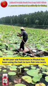 【Gu Daoxiang】Lazy Pellet Bait Carp Carp Grass Bream Green Freshwater Fish Wild Fishing Black Pit Competitive Fresh Wet Fishing Bait 鲜湿钓饵