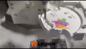 Lodden 3D PRO Multilayer Zirconia Disc 98mm 10-25mm Vita 16 Colors Open System for CAD CAM Dental Lab Materials