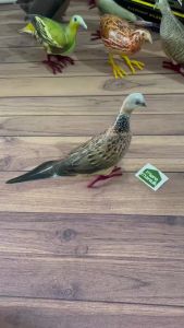 Jontrot Burung Tekukur - Patung Decoy Burung Tikukur