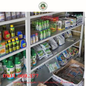 BIO 36 GOLD  kích thích rễ cây phát triển mạnh mẽ