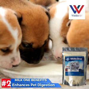 Viddavet Milk One Goat Milk Replacer for Pets