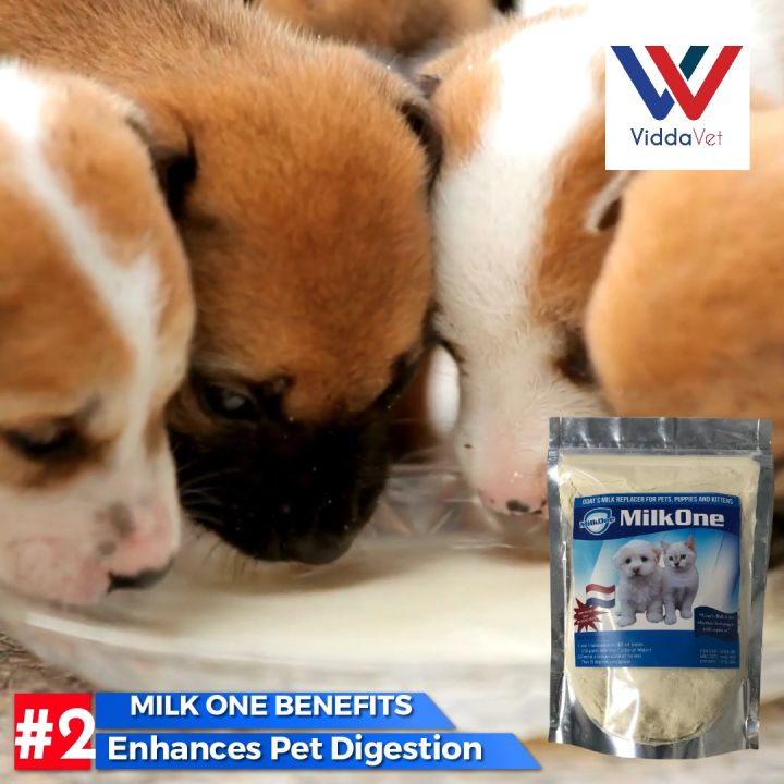 Can i use puppy clearance milk replacer for kittens