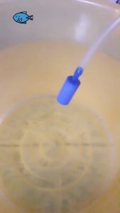 หัวทราย หัวออกซิเจน เพิ่มออกซิเจนในตู้ปลา Air Stone หัวทรายออกซิเจน ออกซิเจนตู้ปลา ใช้ในตู้ปลา อ่างสัตว์น้ำ ฟองละเอียด กระจายลมได้ดี