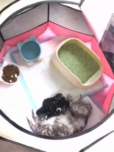 Cat Tent Pet Cage Dog Tent Portable Folding House Playpen Travel Outdoor Indoor Sangkar Rumah Kucing