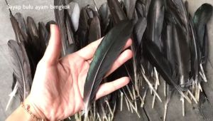 BULU SAYAP AYAM WARNA-WARNI IS 50 BIJI & AKSESORIS KERAJINAN TANGAN