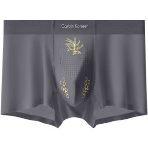 CarbinKoneer | Antibacterial Mesh Underwear