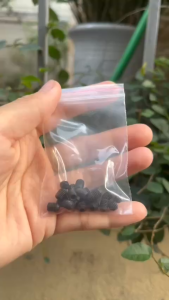 Ốc chí định tâm 1020 chiếc cho xe CD ốc dài và ngắn