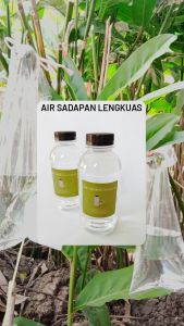 Air Sadapan Lengkuas 100% murni obat batuk paru-paru asma demam 200ml