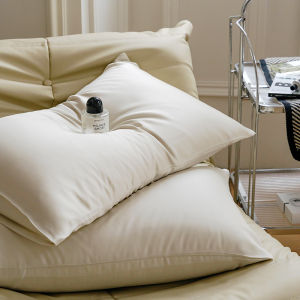 Summer Single Thread Silk Lycocell Pillowcase Double Sided Color Block Adult Pillow Cover Pair Buy Two for a Pair