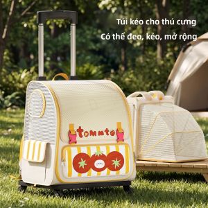 HOOPET | Portable Large Capacity Pet Travel Bag