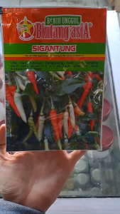 BENIH CABAI RAWIT SIGANTUNG BINTANG ASIA