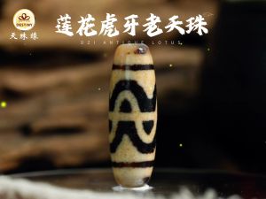 DZI DESTINY LOTUS DZI TIBETAN ANTIQUE DZI 天珠缘 莲花天珠 西藏百年老天珠 纯洁之珠 人际 RELATIONSHIP PURIFY INNER BEAUTY
