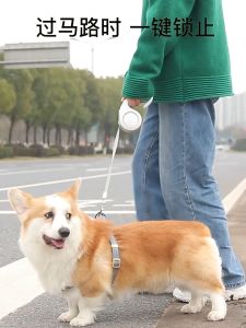 Pet Dog Leash 3 Meter Automatic Retractable Cat Leash Pet Leash With Dog Leash Dog Chain Dog Rope Its Pet Story