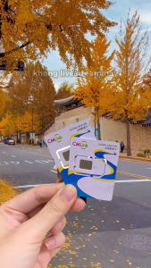 Sim / eSIM Du Lịch Hàn Quốc Jeju Busan Seoul 2GB/Ngày – Không Giới Hạn Tốc Độ Thường Dùng Mạng Thả Ga 1–30 Ngày . FREESHIP - CHƯA KÍCH HOẠT