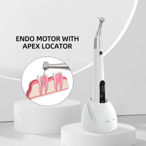 Hot New Products: Endomotor with LED Light & Tooth Preparation Tips