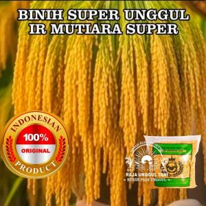 (1KG) Benih Padi IR MUTIARA SUPER Bibit Padi Super Unggul kualitas terbaik