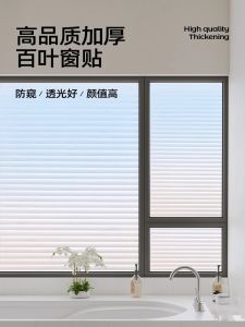 Bathroom Privacy Curtains Waterproof Modern Minimalist Style Light Translucent Blind Shutter Design View Protection Home Fabric