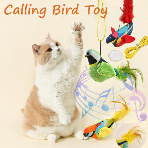 Simulation Flying Bird Cat Toy Sparrow Catnip Toys Bird Interactive Cat Toy Hide and Seek Kitten Toy Motion Activated Cat Toy