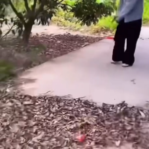 Tasmanian Tiger Leaf Blower 21V dengan Desain yang Stylish dan Tahan Lama