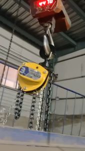 Chain Block 2 Ton x 5 Meter BRANCH BCB-HD025 Hoist Katrol Takel 2T x 5M