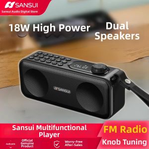 Bluetooth Dual Speaker High Power Portable Dancing Audio Player