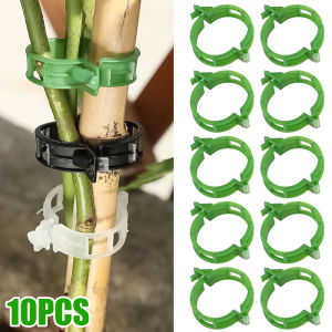 Polocat 10pcs Plant Support Clips Reusable Grafting Fixing Buckle Greenhouse Vegetable Tomato Clip Holder Gardening Plant Accessories