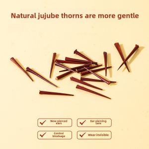 Non-Metallic Sour Jujube Invisible Ear Sticks for Sleeping Tea Stem Ear Pins Student Friendly No Removal Needed Fashion Jewelry