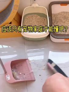 Konka Corded Vacuum Cleaner for Home Powerful Suction Mite Removal Handheld Vacuum and Mop Combo Small Floor Washer