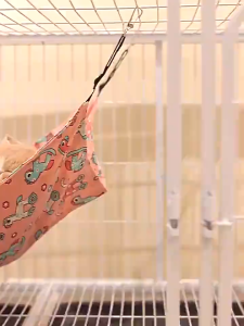 PETCARESMY Cat Hammock Cat Cage Cat Bed Cat Rest for cat Pet Supplies Buaian kucing Buaian haiwan Cat Nest Mat Cat Hammock bed