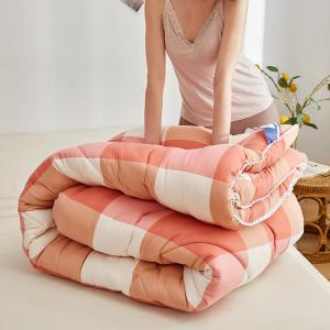 Thickened Washable Cotton Quilt for Multiple Seasons
