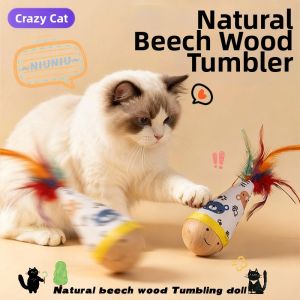 SHENJINGMAO | Energy-Consuming Feather Cat Toy