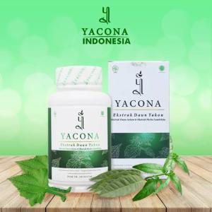 Yacona Obat Diabetes Ampuh Memperbaiki Sel Beta Pankreas