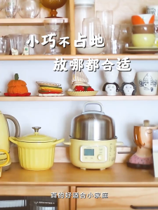 Buydeem Multifunctional Small Electric Cooking Pot 1.5L Cooking Stew Pot All-in-One Pot Stainless Steel Liner Electric Hot Pot Household G37