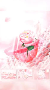 Laundry liquid Detergent  Natural Five Scent leave fragrance for 72h long last Fabric Conditioner Po