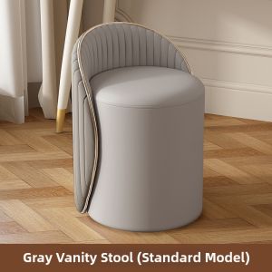 Modern Luxurious Minimalist Makeup Stool