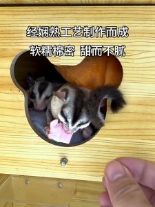 Sugar Glider Treat Hamster Small pet Marshmallow snack