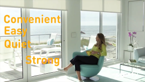 Somfy Sonesse 40 WT 6/20 มอเตอรม่านม้วน ควบคุมด้วยสวิทส์เดินสาย อันดับ 1 นำเข้าจากฟรั่งเศส