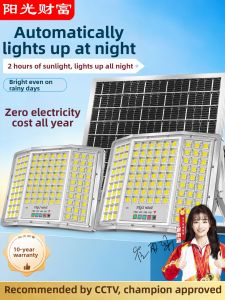 Ultra Bright Solar Lighting Home and Courtyard Use Twin-Control