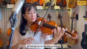 Violin Acutis AHV2103 Size 3/4/4 - Chính Hãng Bao Gồm Đàn Vĩ Hộp Nhựa Thông Bảo Hành 12 Tháng Tặng Gối Đàn - Việt Thanh Music Center