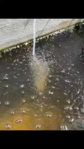 10W ปั๊มลมพลังงานแสงอาทิตย์ USB ปั๊มออกซิเจนพลังงานแสงอาทิตย์ พลังงานแสงอาทิตย์ อุปกรณ์ตู้ปลา