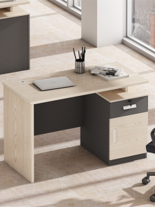 Eumom Modern Simple Computer Desk 1.2 Meters Work Station Writing Desk Eco-friendly Office Furniture for Staff Members