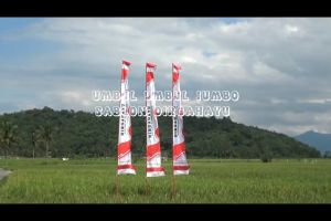 UMBUL UMBUL JUMBO SABLON DIRGAHAYU (1 KODI)
