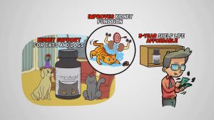 AminAvast Kidney Support Supplement for Cats(6/2027) and Dogs (Expiry 3/2027)with 60 Capsules Aminavast Cat Aluminum Hydroxide For Cats - Lazada