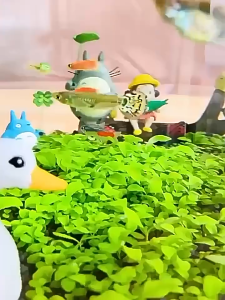 Aquatic Plants Seeds Aquarium Water Grass Seeds Small Couple Leaf Seeds Big Carpet Plants Fish Tank