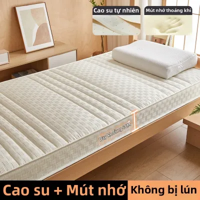 Yuzhaolin | Đệm Lót Giường Ký Túc Xá Bằng Cao Su Non Mềm 90x190cm
