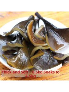 Soft Thick Salt and Sand Free Sea Kelp Head