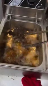 Single/Double Electric Fryer Deep Fryer: A Comprehensive Guide