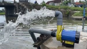 Jual pompa air modifikasi JET 350 pompa kolam ikan pipa in out 2 dim pemakaian 24 jam non stop GRATIS PACKING KAYU